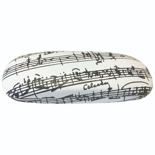 Picture of MANUSCRIPT GLASSES CASE